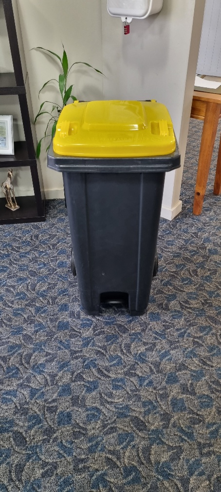 Foot Operated Wheelie Bin - 120L